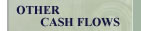 Other Cash Flows
